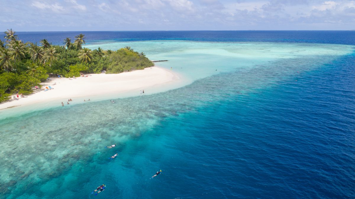 Kaimoo Resorts and Hotels Partnering with Maldives Coral Institute for Coral Festival 2023